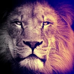 Meet your Posher, Johnny